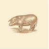Pasture-Raised Pork Shoulder Butt Steak