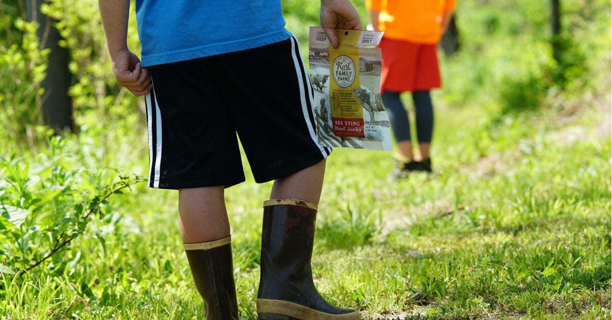 The Best Hikes for Kids in the Mid-Hudson Valley