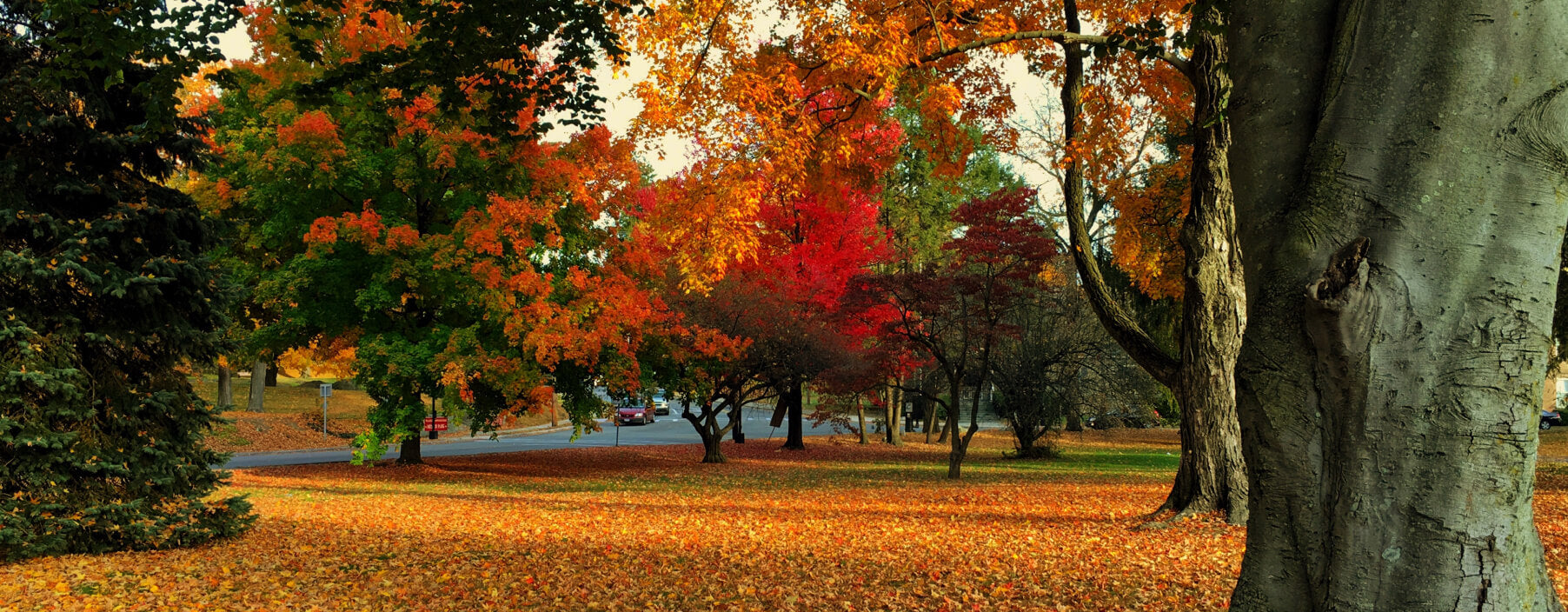 Best Hudson Valley Fall Foliage Hikes