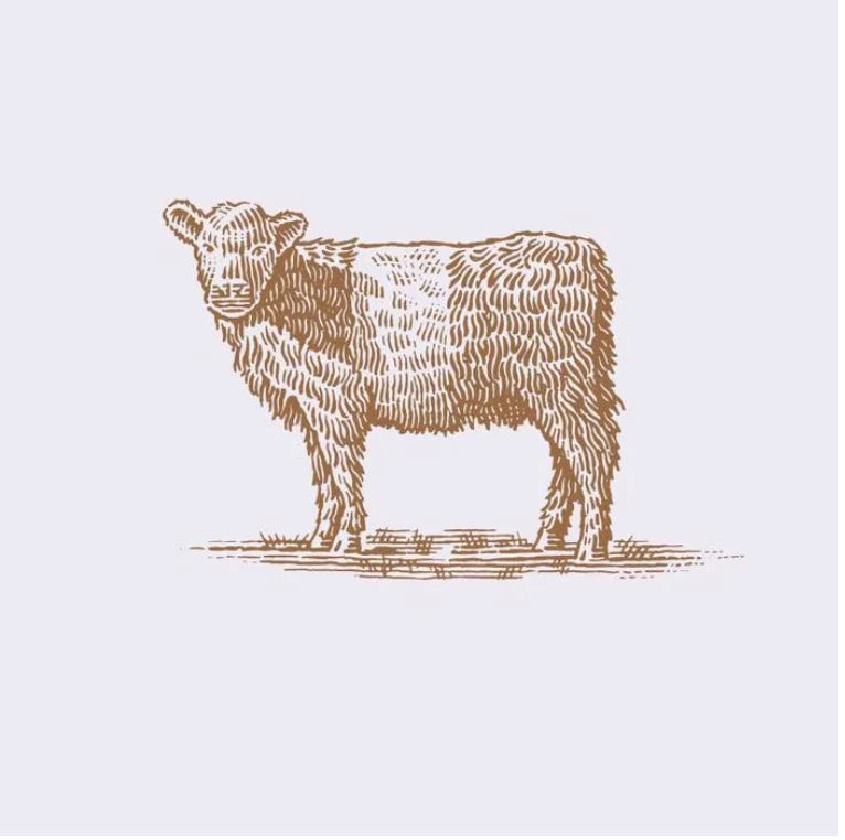 100% Grass Fed Beef Short Ribs