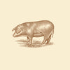 Pasture-Raised Pork Loin Chops